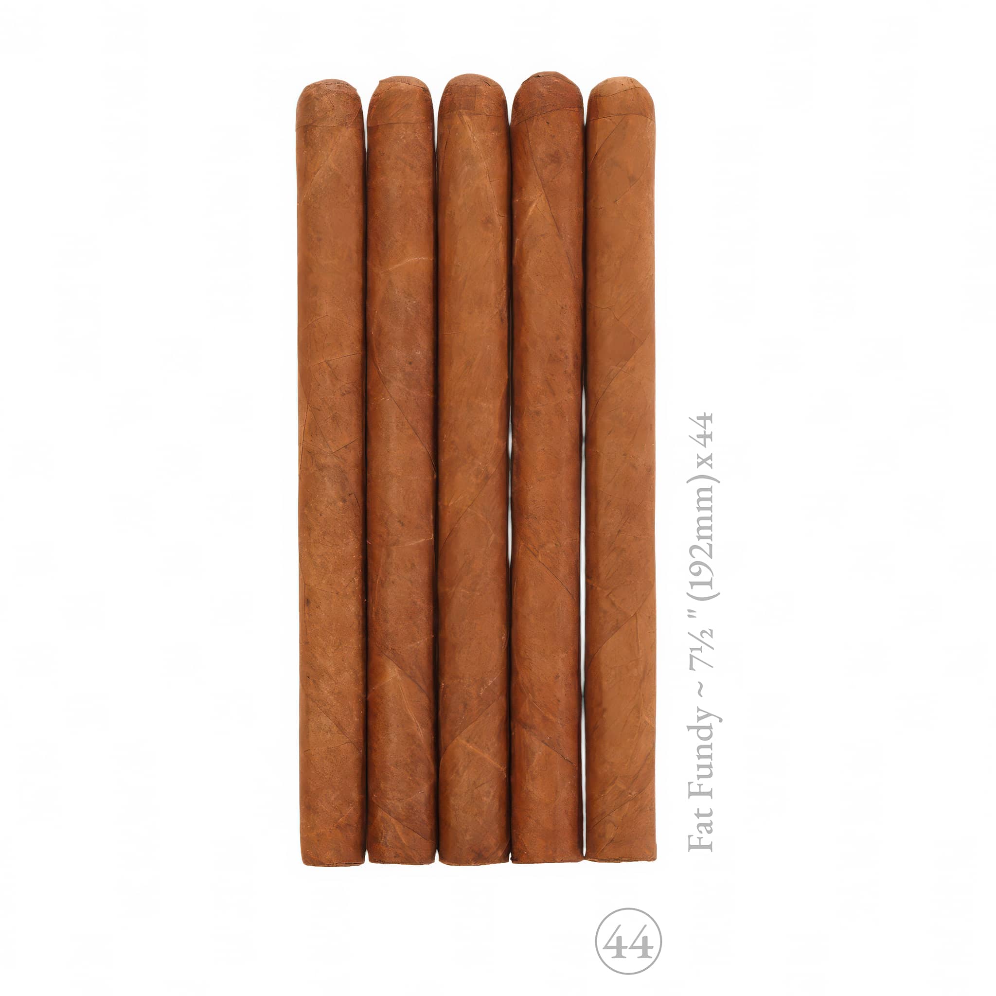 5-Pack MOFOH Fat Fundy