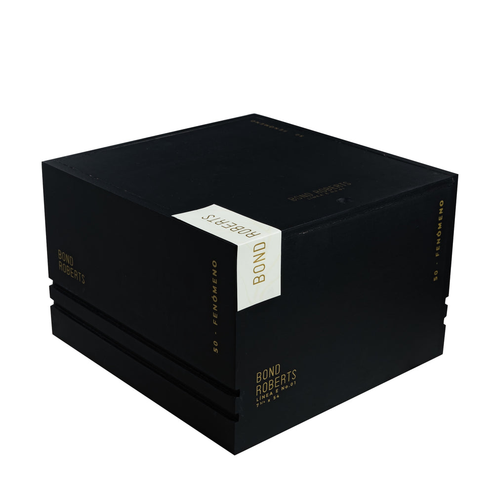 BR - Fenomeno - Linea E No.1 - Cabinet (50)