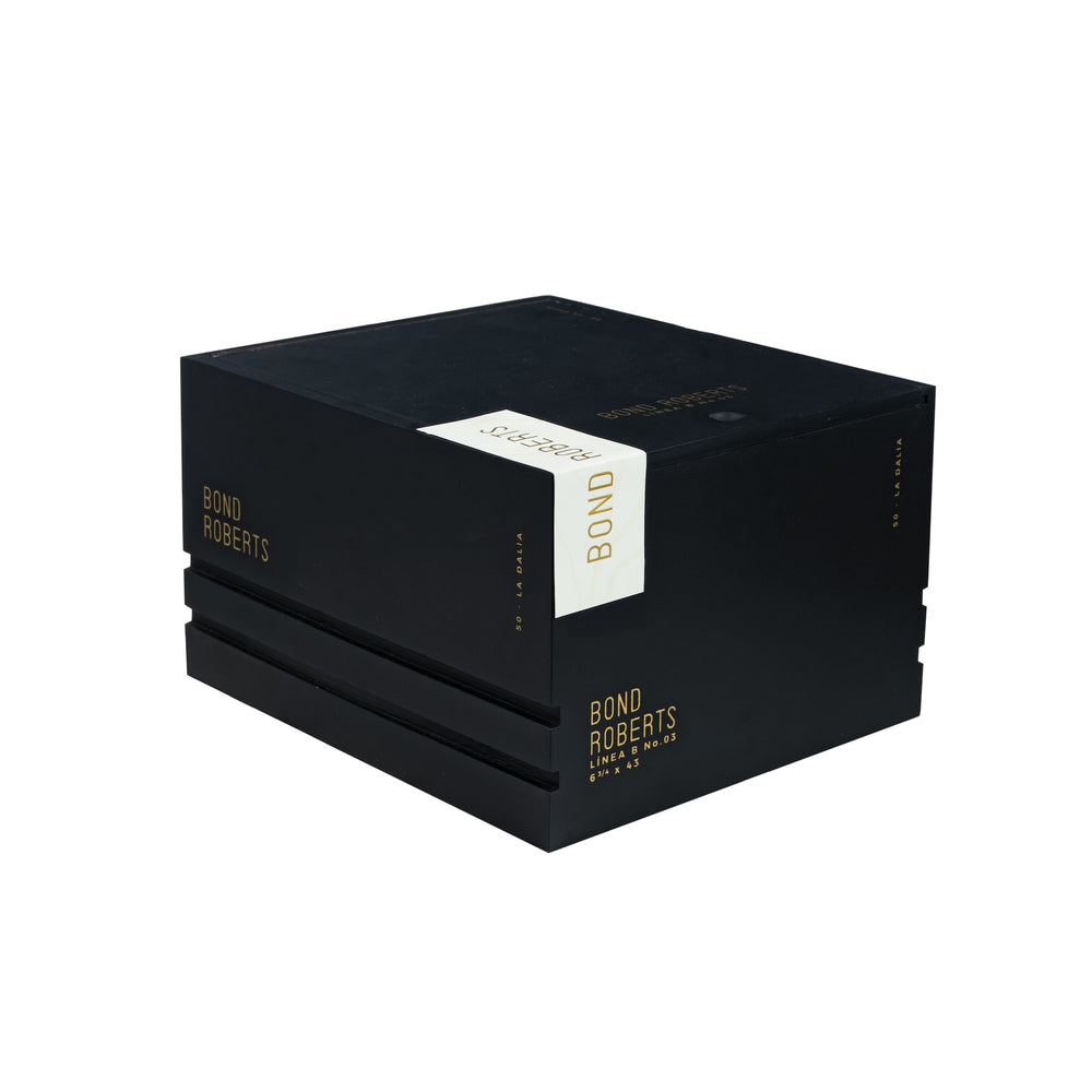 BR - Dalia - Linea B No.3 - Cabinet (50)