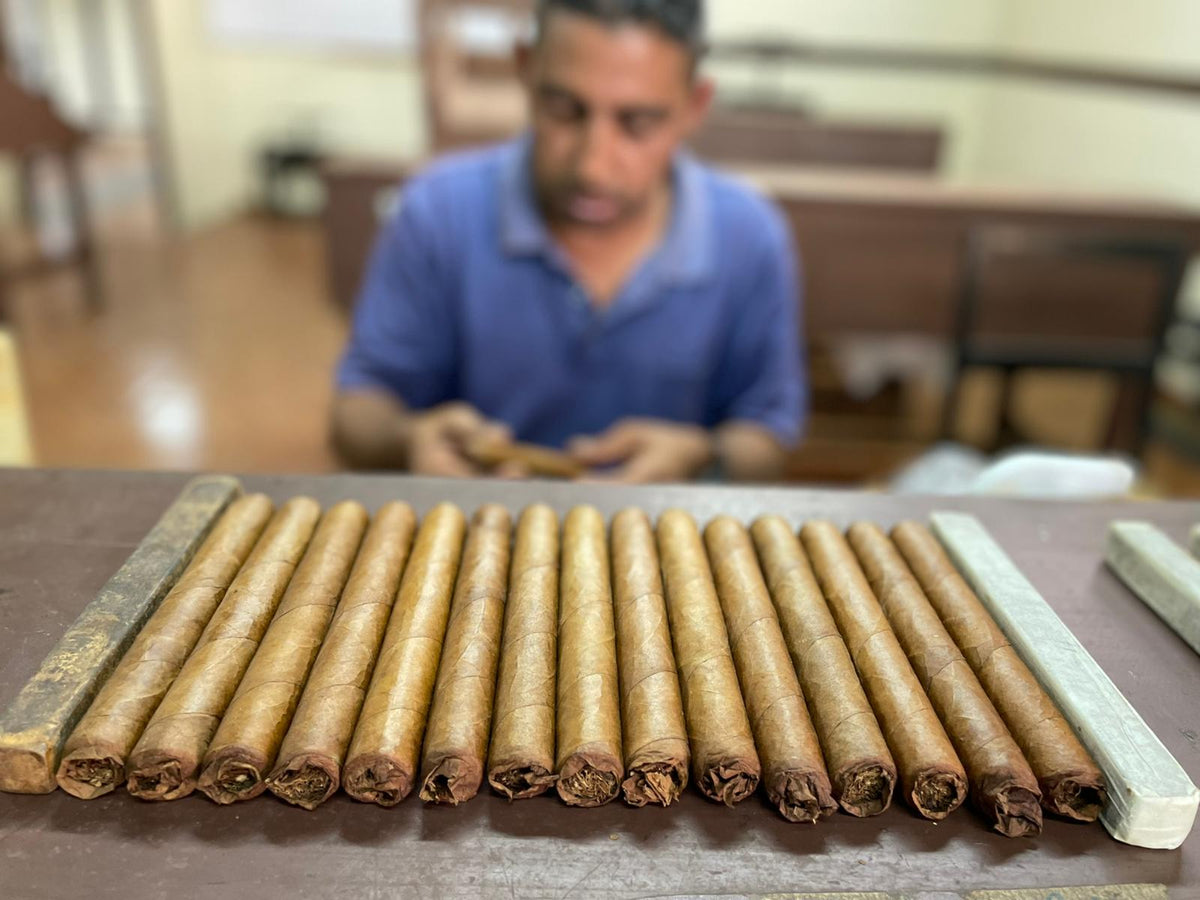 Shop Red Canonazo Cigars | Joya De Nicaragua