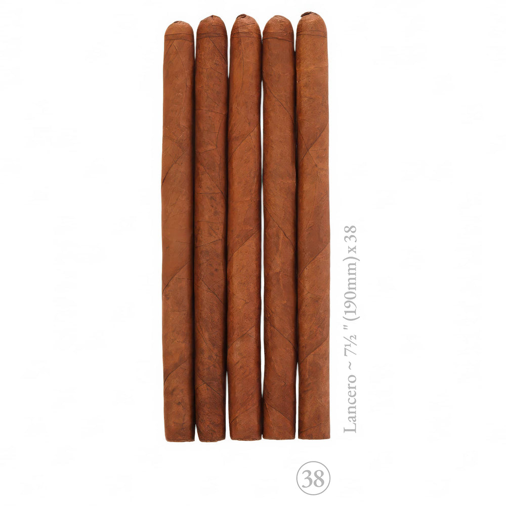 5-Pack Puro Desnudo N1 Lancero