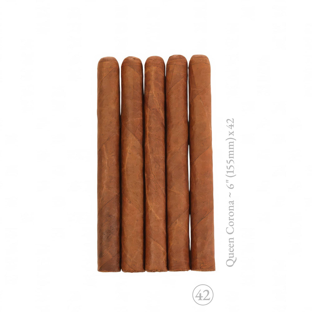 5-Pack Puro Desnudo N5 Queen Corona