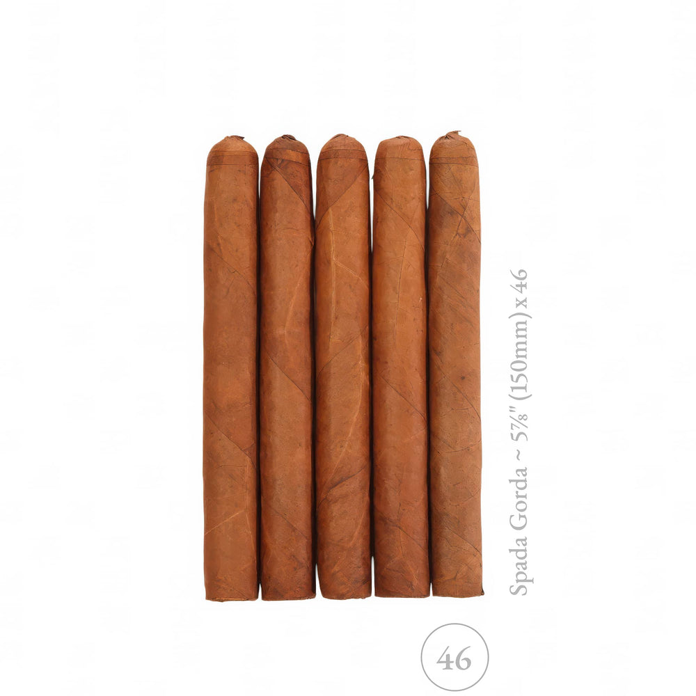5-Pack MOFOH Spada Gorda